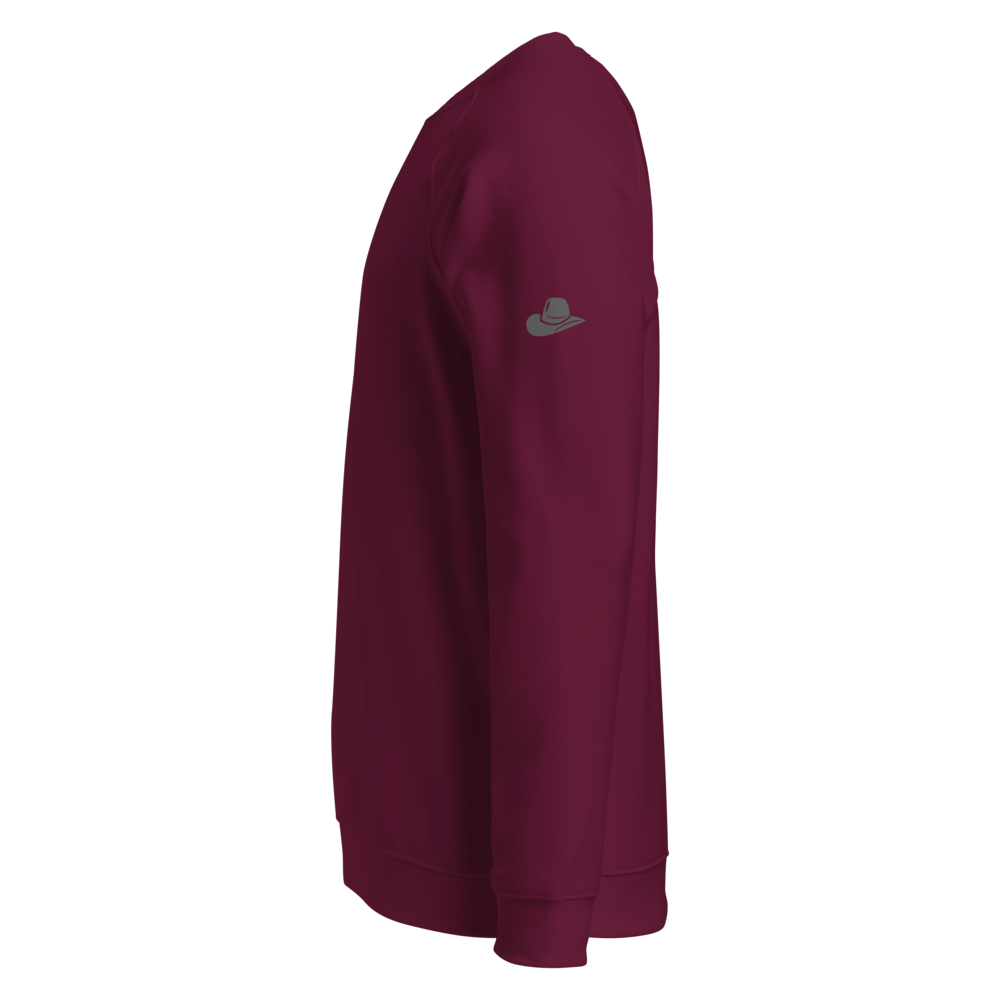 Sabel Organic Raglan Sweatshirt